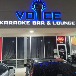 83 karaoke lounged voz