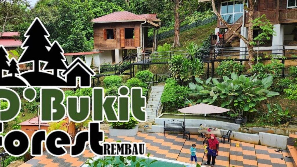dbukit forest