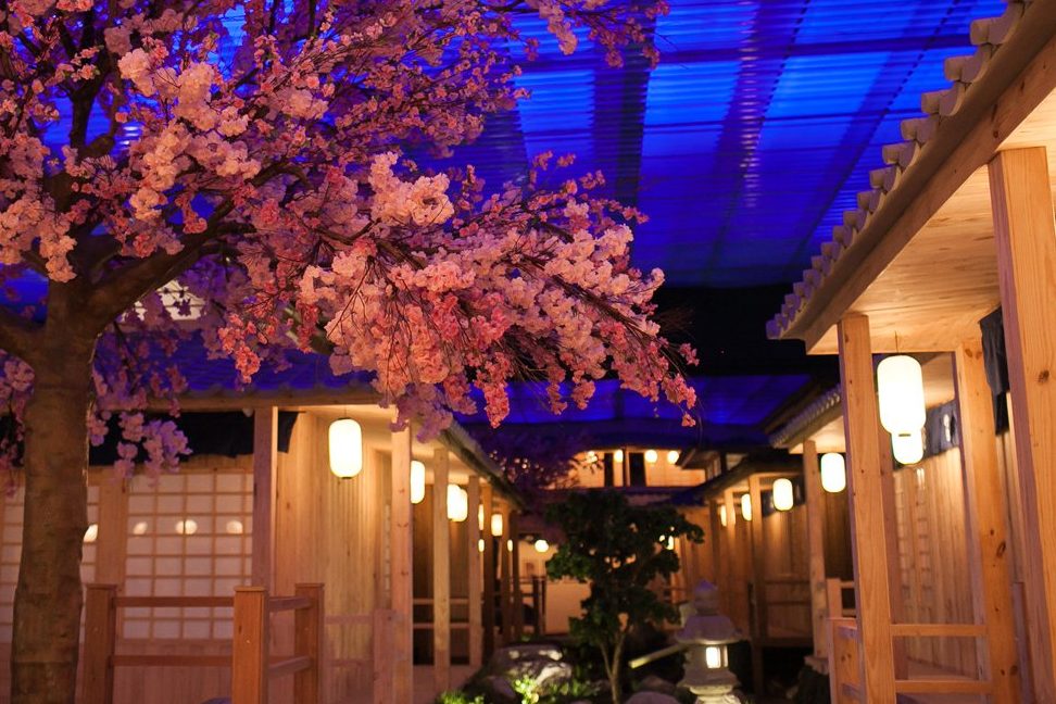 e5908ee88ab1e59bad niwa japanese karaoke