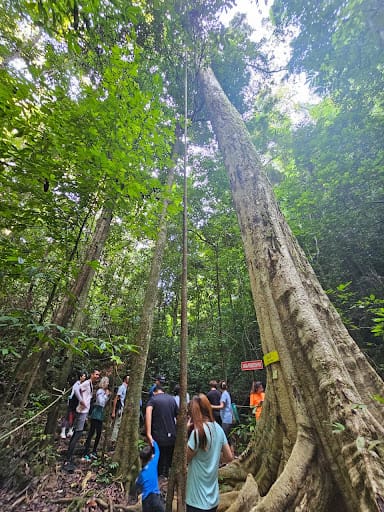 Summer Cruise Kenyir Lake （Check-in Point)