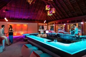 maldives bar