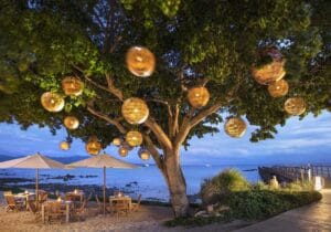 ocean club miri