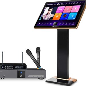 play karaoke