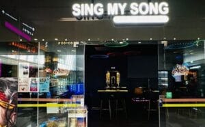 sing my song family karaoke kinex