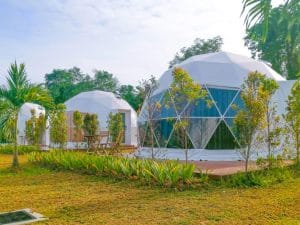 the dome gua musang