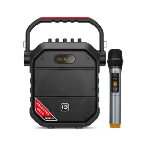 Shidu H9 Bluetooth FM Wireless Karaoke Boombox with Mic