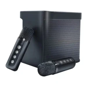Bluetooth Karaoke Machine for Adults with Dual Wireless Microphones